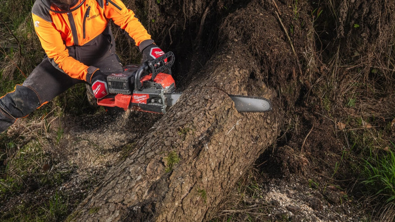 A person cuts a big tree using Milwaukee's dual-battery chainsaw