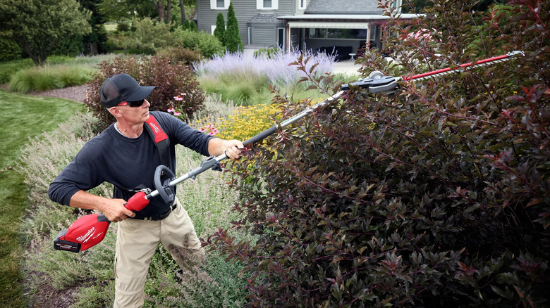 A man in a hat and sunglasses uses a Quik-Lok articulating hedge trimmer to cut back some branches on a bush with red leaves.
