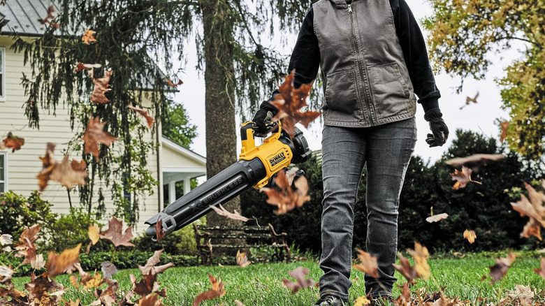 DeWalt DCBL722B blower clearing leaves from a yard