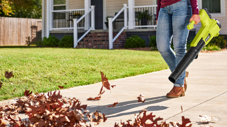 A woman using an 18V leaf blower to clear her driveway