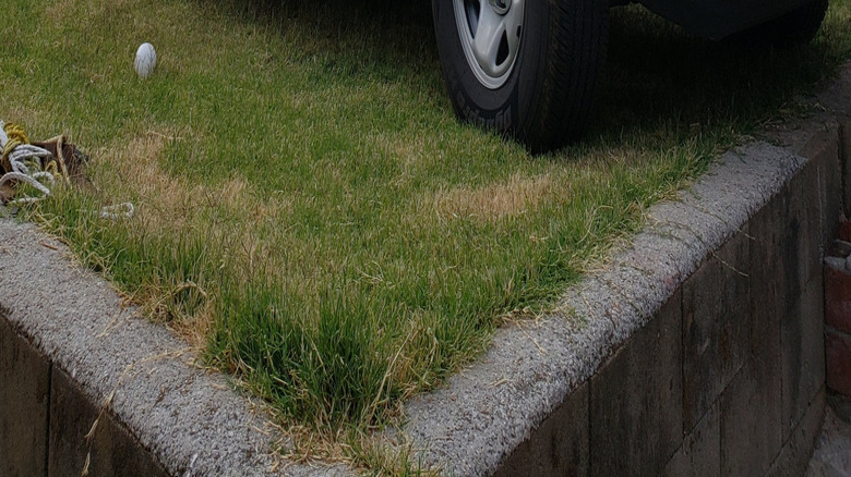 Side view of a red 2018 Toyota Tacoma