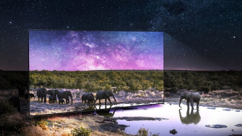 Illustration of elephants under a night sky illuminated by a giant TV.