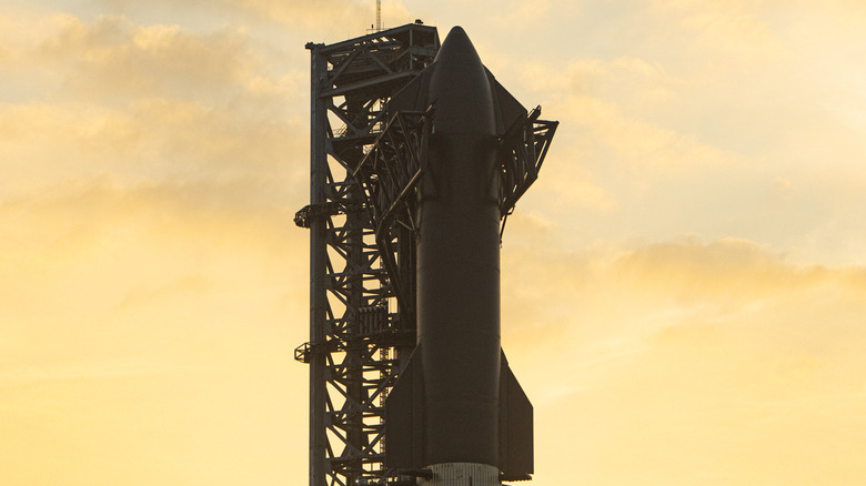 Starship launch vehicle 