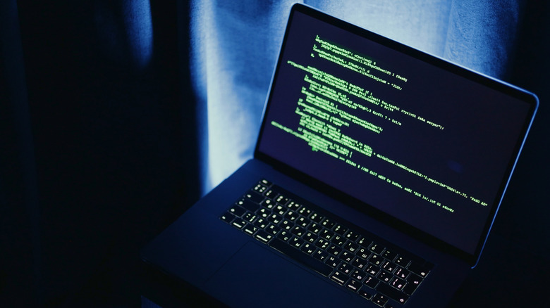 Code on computer screen