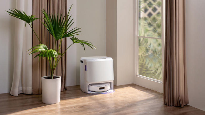 White Narwal Freo Z10 docked in a tidy home next to a potted fern