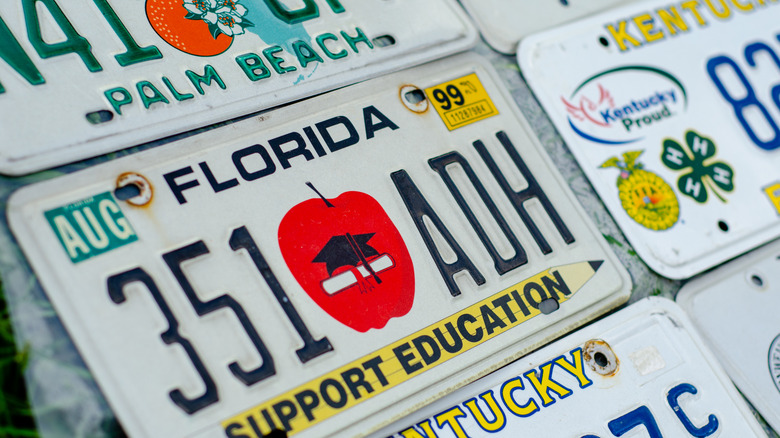 Older Florida license plate without a frame