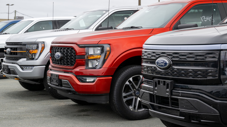 Ford F-150 trucks parked at dealership