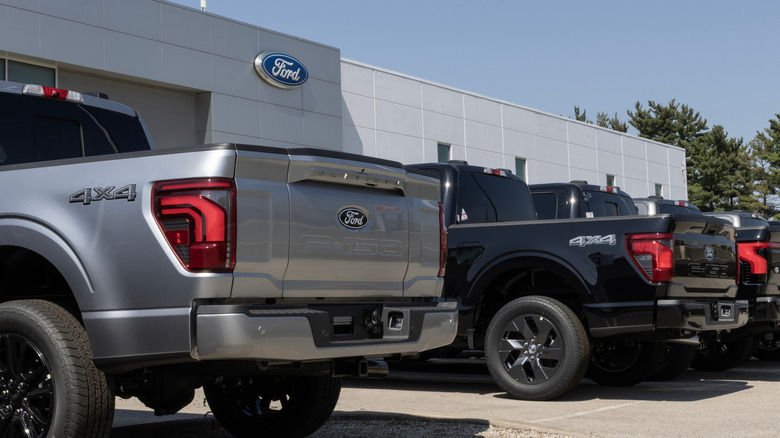 Ford F-150 pickups parked at dealership in 2025
