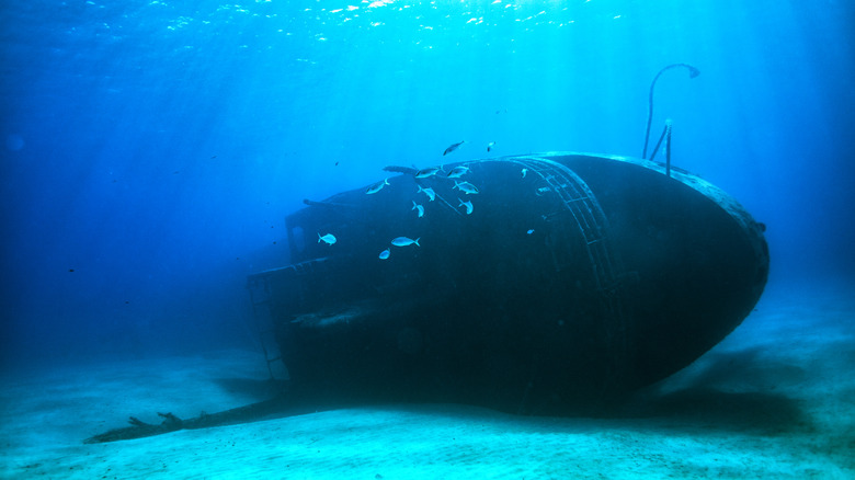 A sunken ship on the seafloor