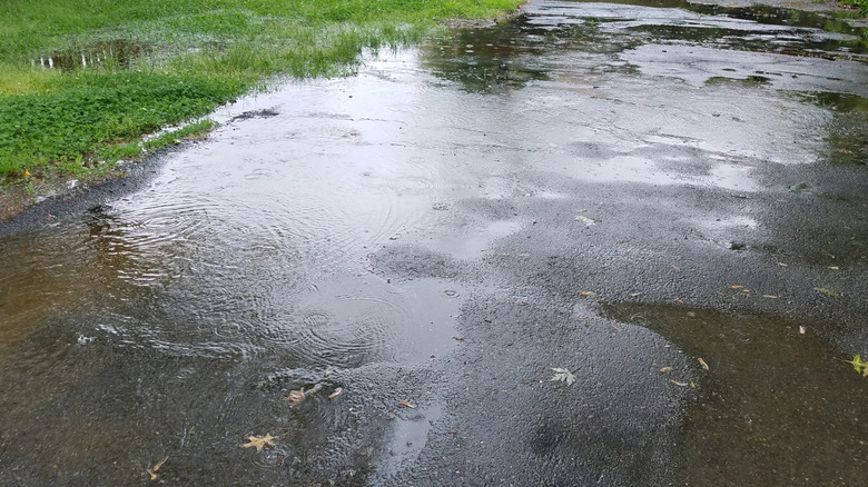 large water puddle from rain in asphalt driveway and grass lawn
