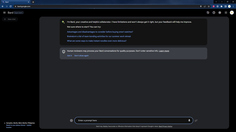 google bard chat interface