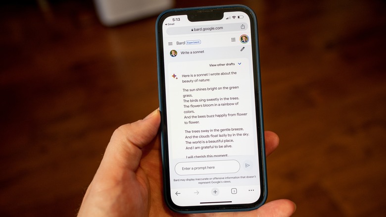 Google Bard in action.