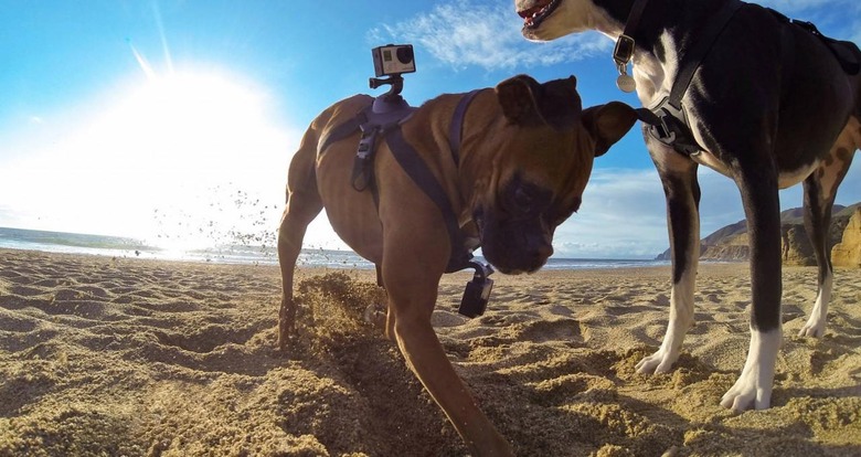 gopro-fetch-1