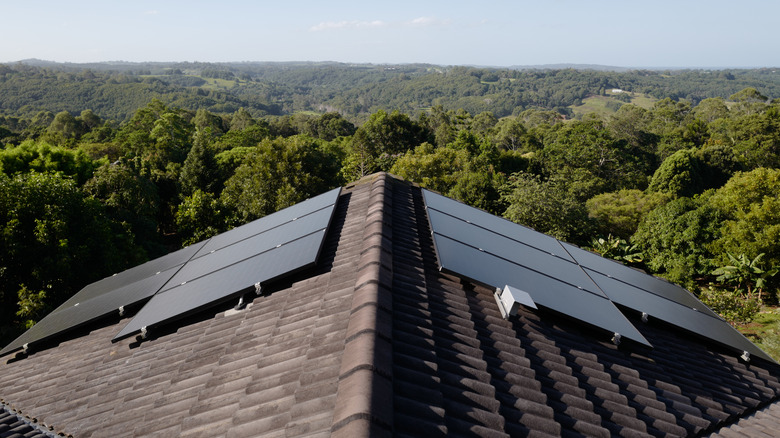 Multiple solar panels mounted on roof with forest in the background