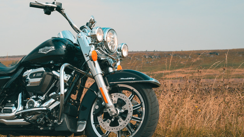 A vivid black and chrome Road King 107 parked beside a field