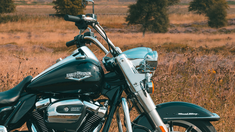 A chrome and black Road King parked against a savannah background