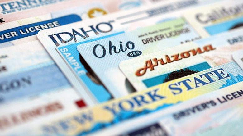 A stack of driver's licenses from various states