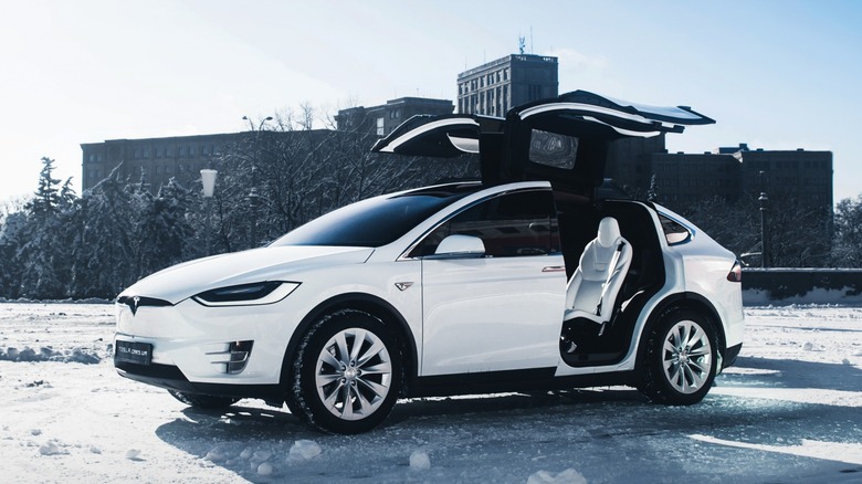 Model X wing doors open white interior