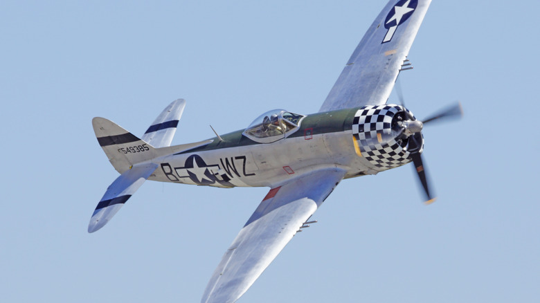 A World War II P-47 Thunderbolt vintage aircraft fly-by on a sunny day