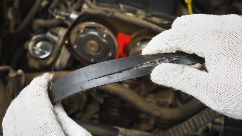 a person holding a cracked and frayed serpentine belt