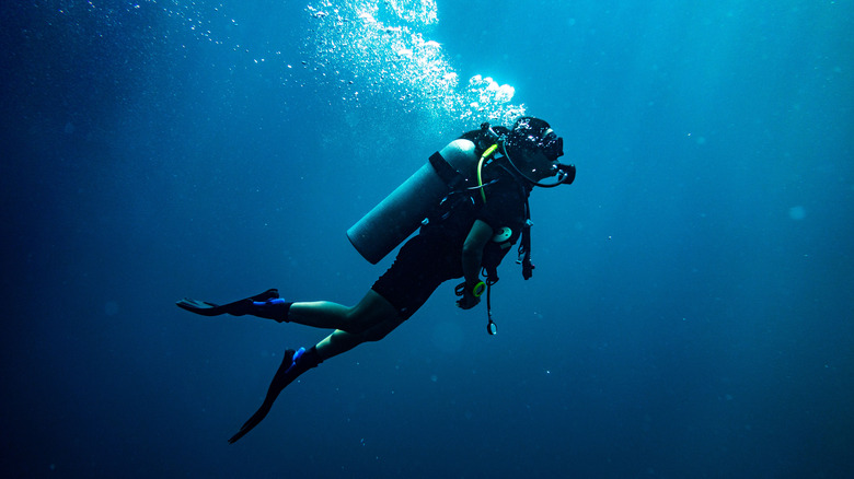 A scuba diver