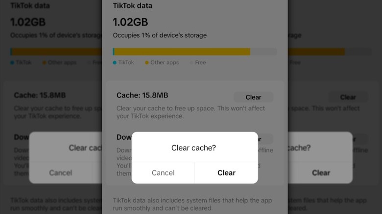 TikTok clear cache screen
