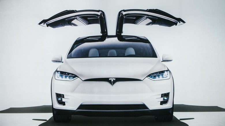tesla model X doors open