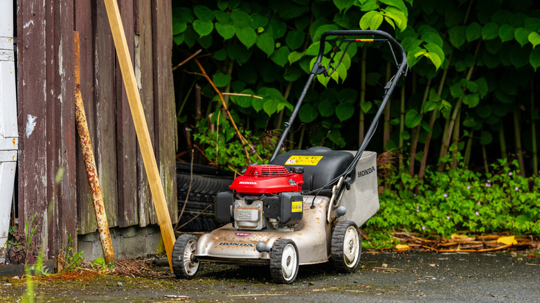 A white Honda lawn mower next to an old shed, front 3/4 view