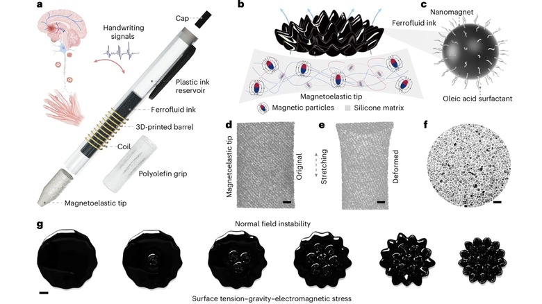 Internal schematic of magnetic pen.