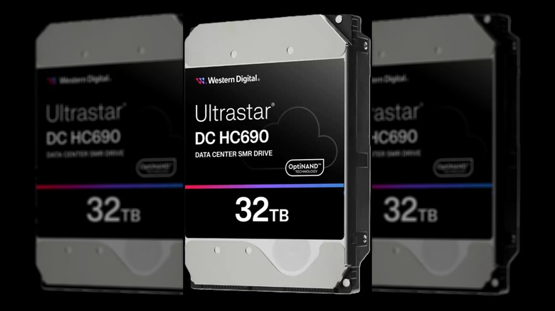 A Western Digital Ultrastar DC HC690 32 TB HDD.