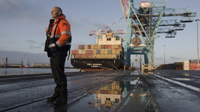 A person standing beside an anchored cargo ship.