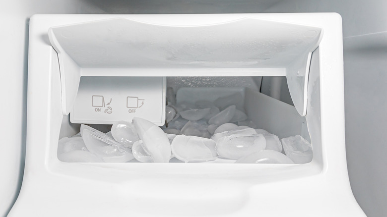 Ice cubes in a fridge tray.