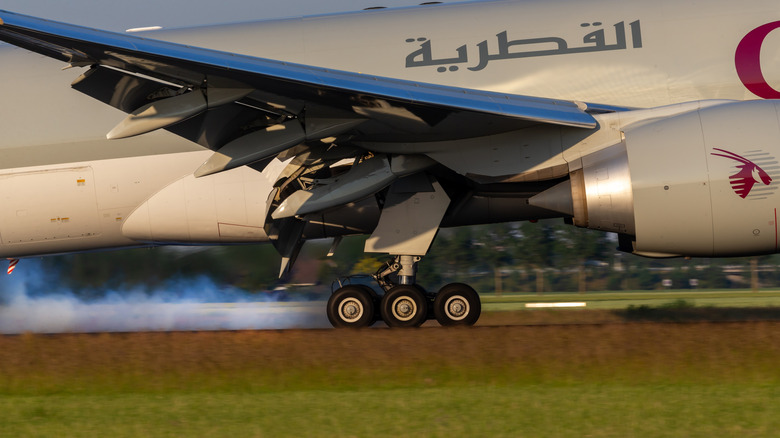 Plane touching down with smoke from the tires