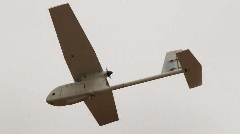 Raven RQ-11 drone flying