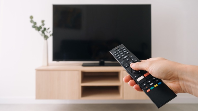 A person holding remote control in front of a blank TV screen
