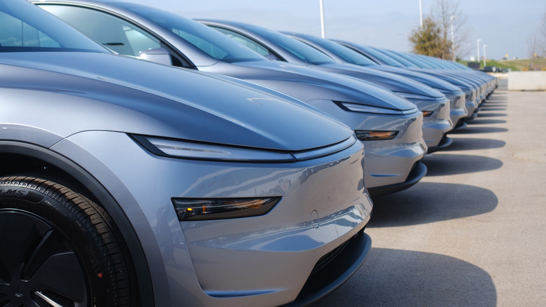 A row of Tesla Model Y examples parked side by side.