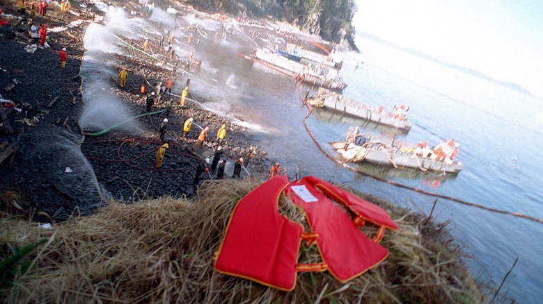 Cleanup efforts during Exxon Valdez spill