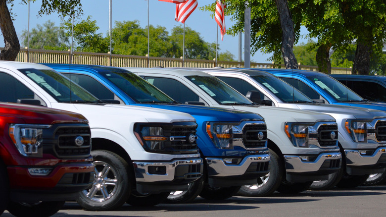 A row of 2024 Ford F-150 pickup trucks