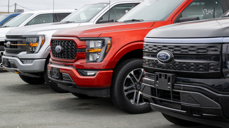 New Ford trucks lined up at a dealership