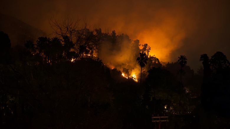 The Sunset Fire in the Hollywood Hills section of Los Angelese.