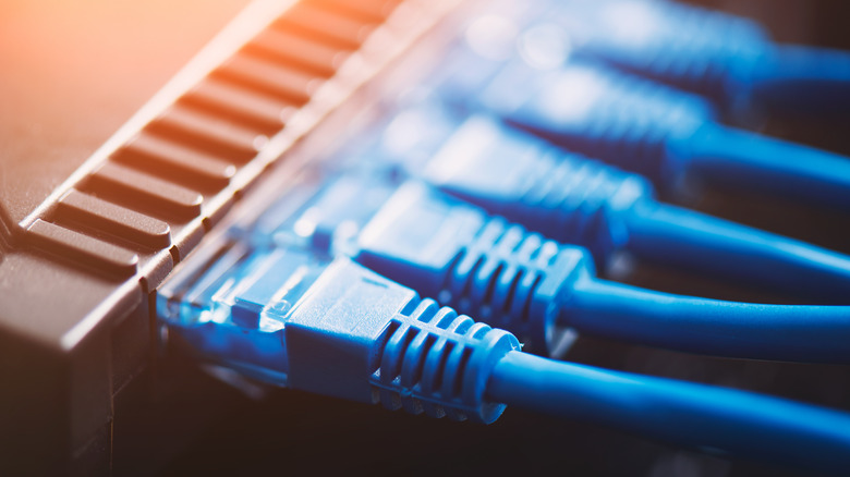 plugs in a router