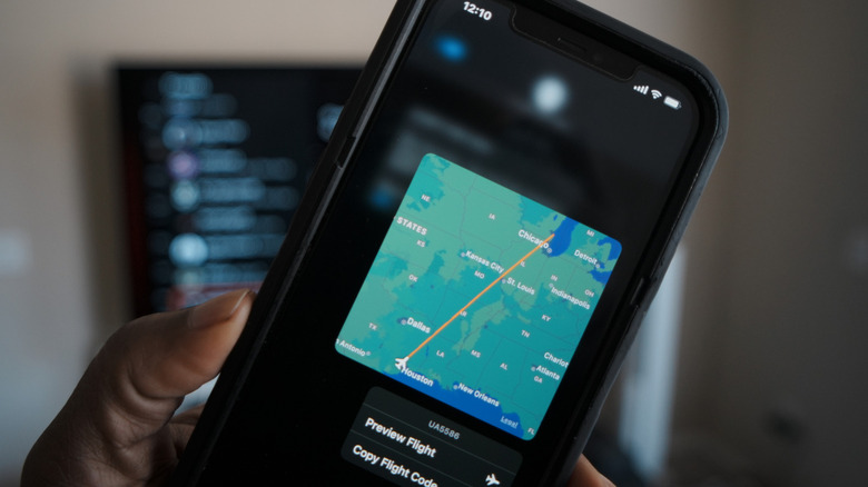 Flight tracking UI on iPhone