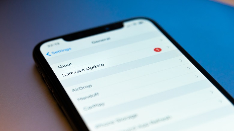 iOS software update menu