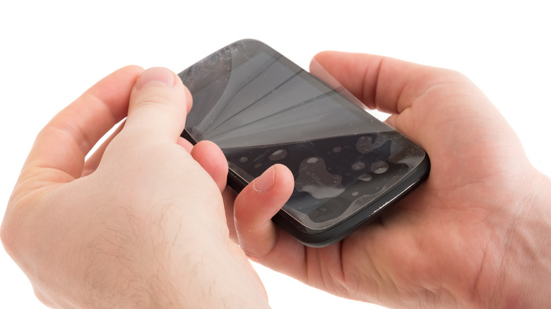 applying screen protector