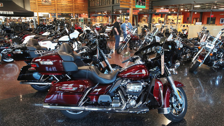 Motorcycle dealership with multiple motorcycles lined up