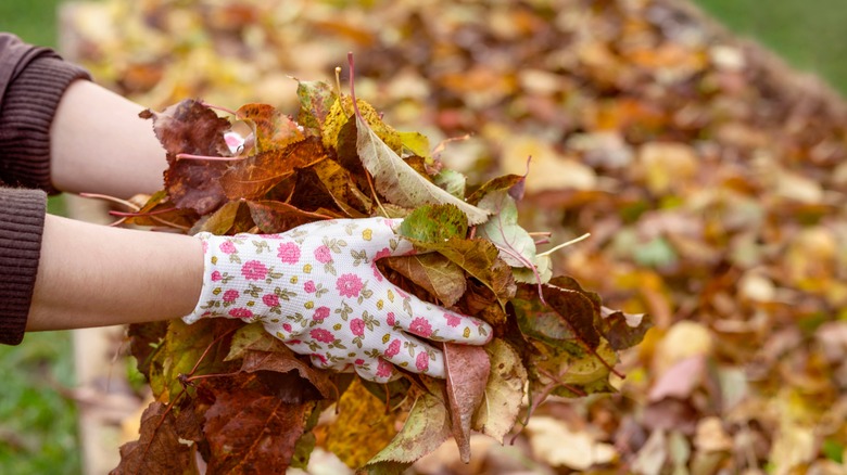A person holding leaves over a garden bed.