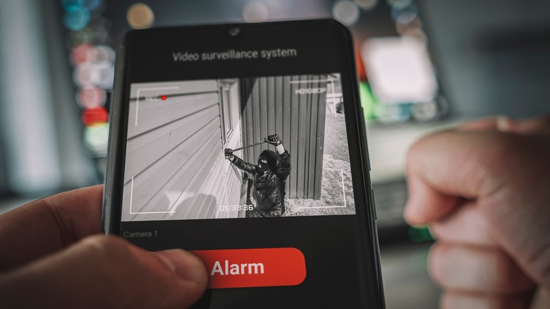 smart lock and camera