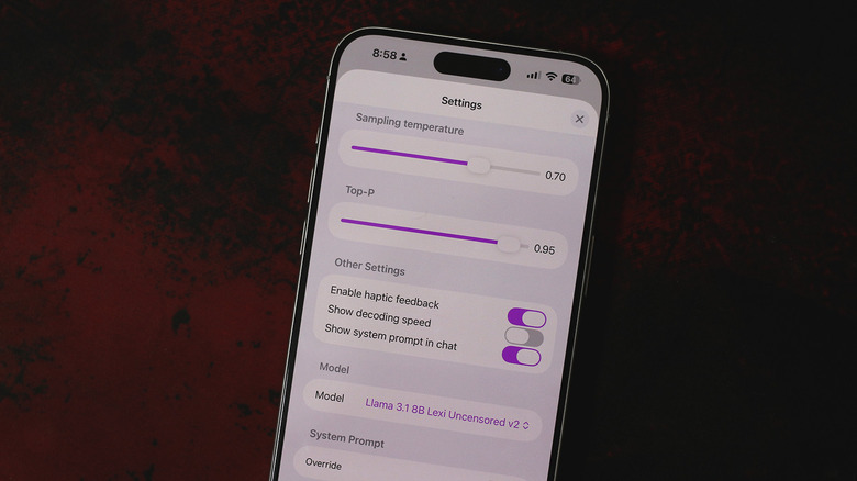 Private LLM settings on iPhone