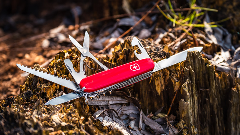 Swiss Army Knife opened and placed on the ground