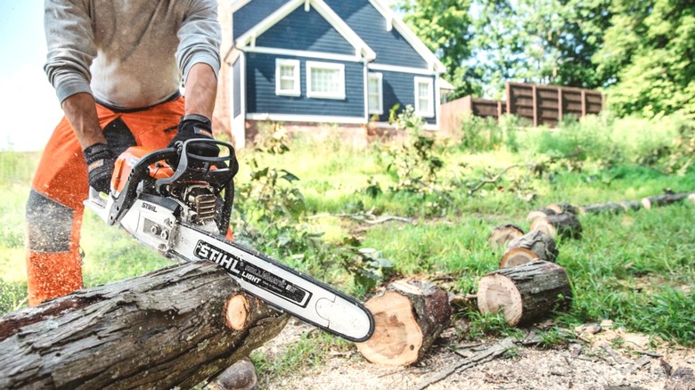 Person using Stihl Chainsaw to cut wood